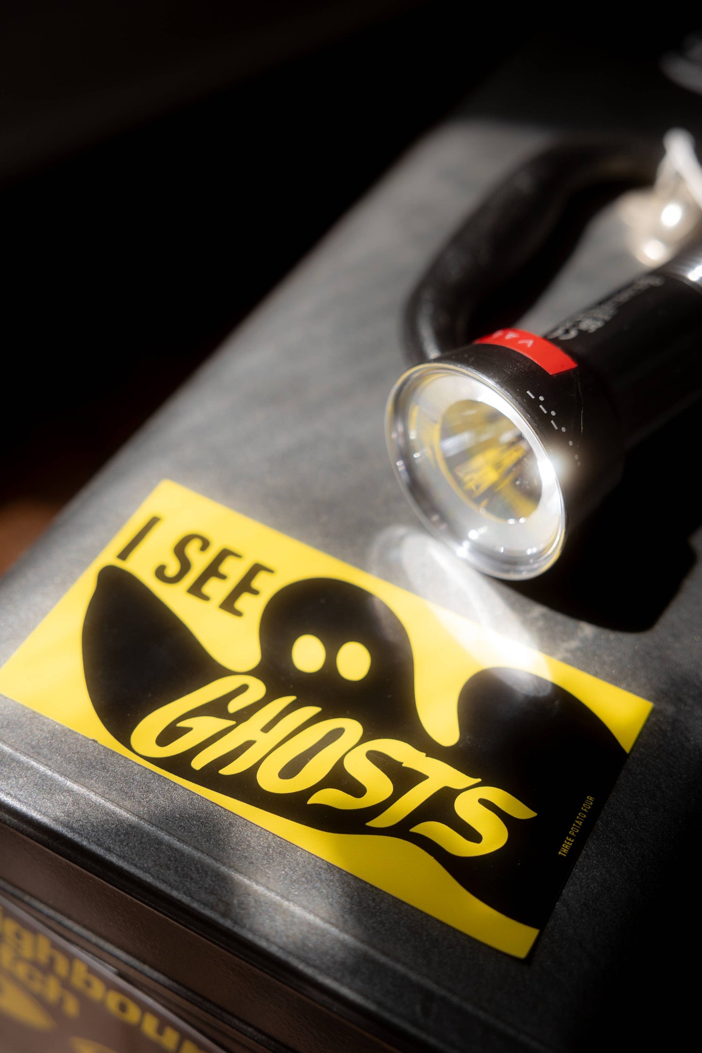 I See Ghosts Sticker