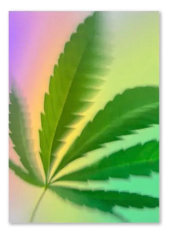 Psychedelic Fleurs Postcard