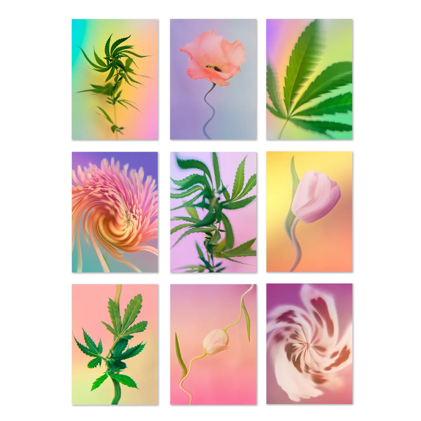 Psychedelic Fleurs Postcard