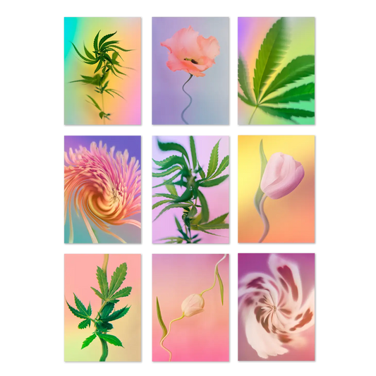 Psychedelic Fleurs Postcard