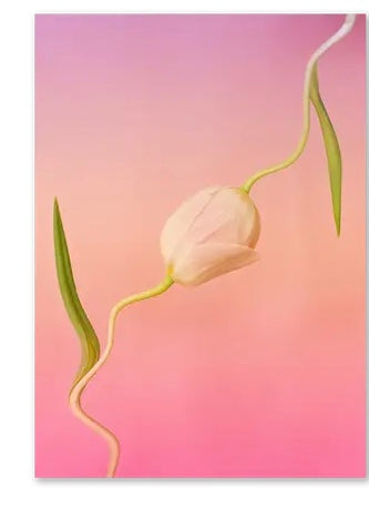 Psychedelic Fleurs Postcard