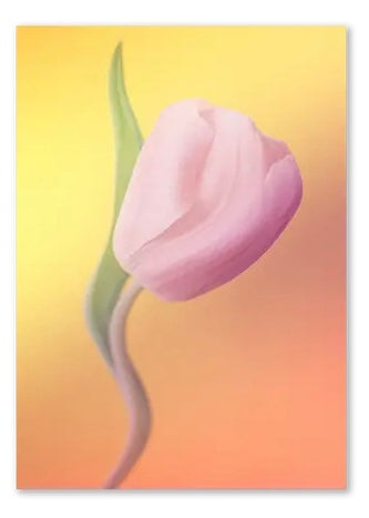 Psychedelic Fleurs Postcard