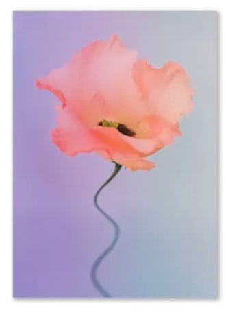 Psychedelic Fleurs Postcard