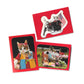 Perlorian Cats Vintage Trading Cards