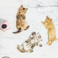 Cat Nail File